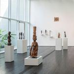 The Menil Collection