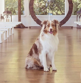 The Wedding Website of Jessica Moore and Eric Dye