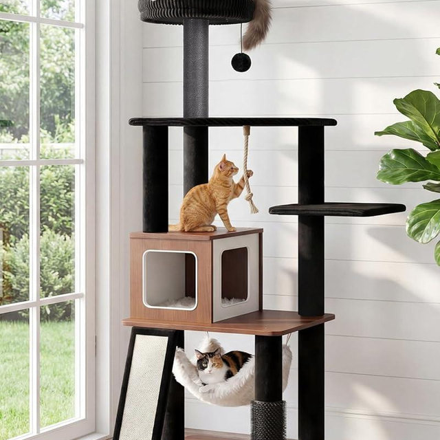 Purrlato 61" Modern Cat Tree Tower for Indoor Cats, Luxury Climbing Tower with Plush Lounge, Kitty Condos, Hammock & Scratching Posts, Classic cat Furniture (Walnut)