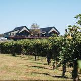 Reitano Vineyards