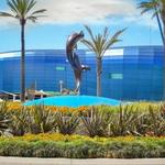 Aquarium of the Pacific