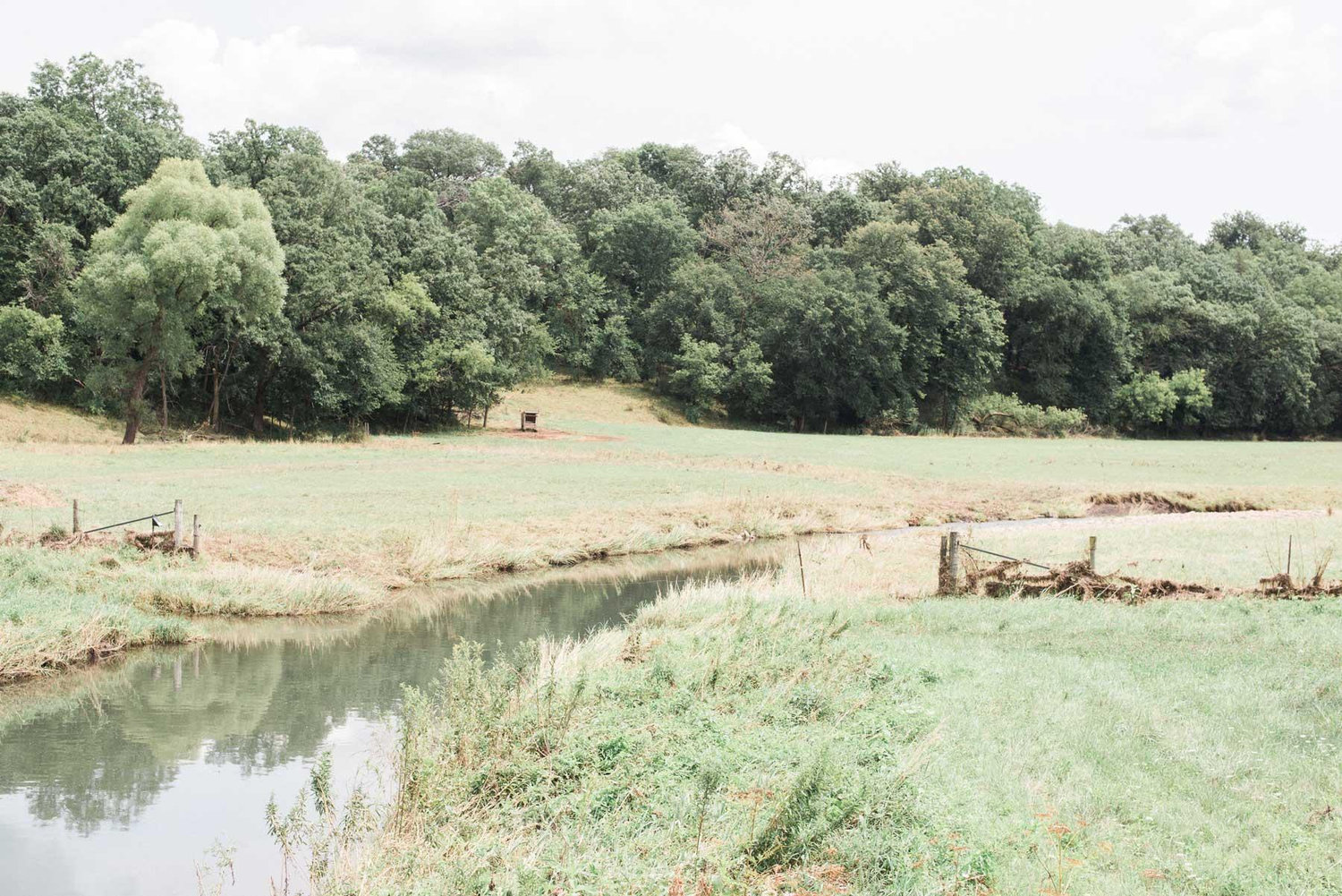 The Wedding Website of Caitlin Schroeder and Ivan Cruz