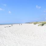 Burkes Beach