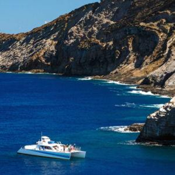 Honeymoon Experience - Boat Tour to the Ni'ihau Island