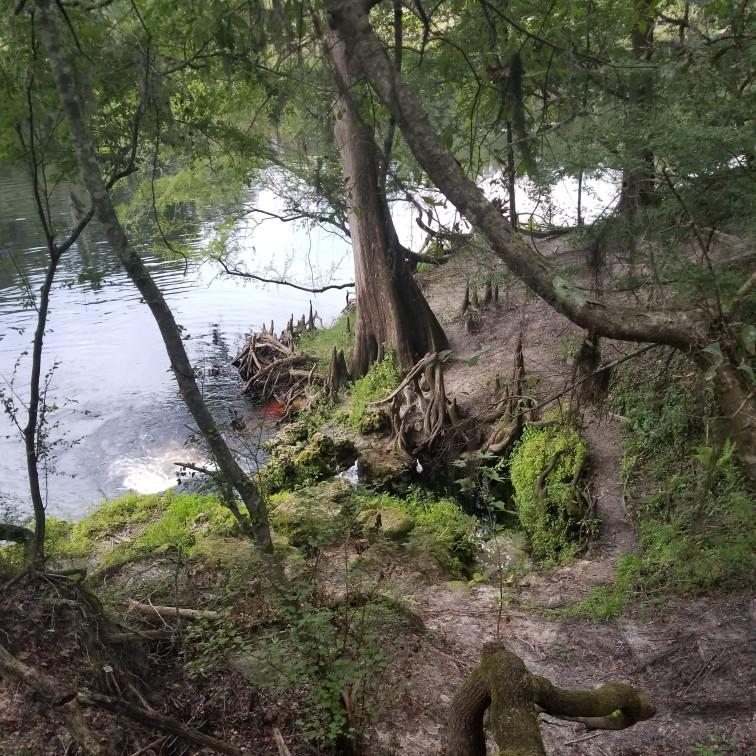 Fishing in the Suwanee (FL)