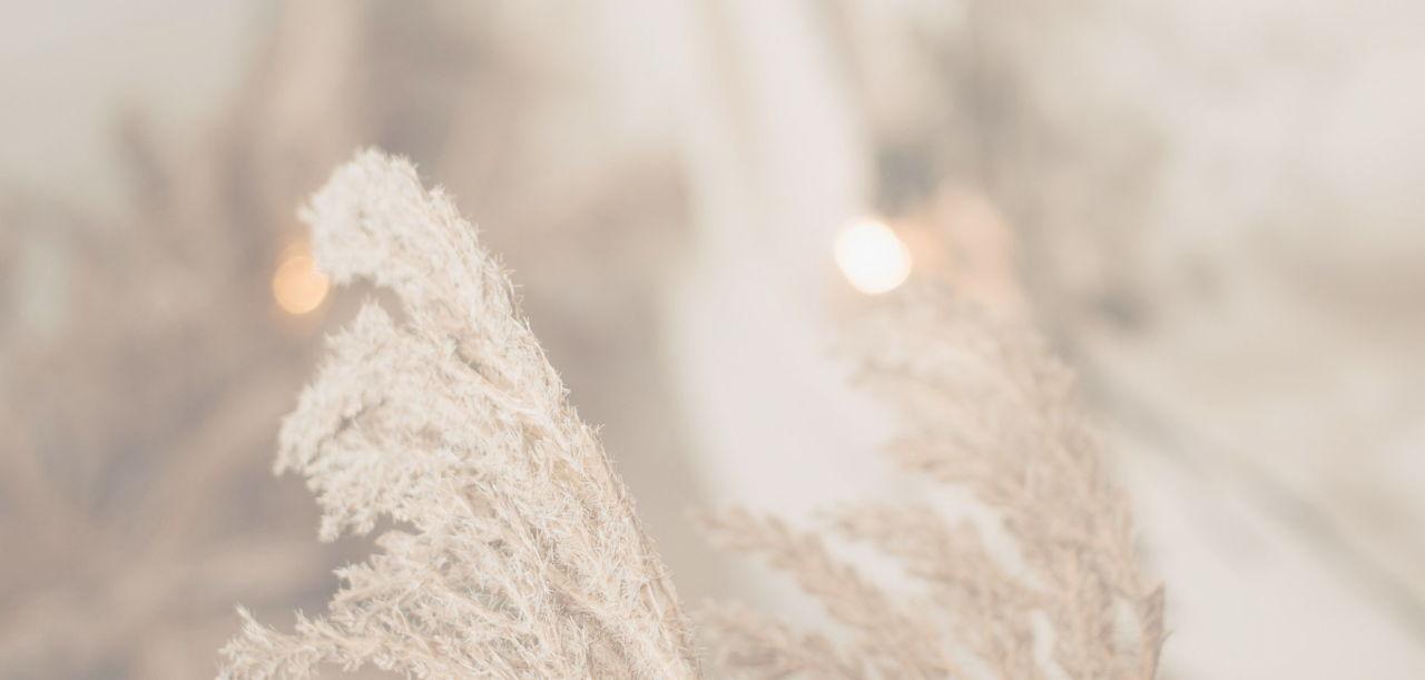 13534f19-0b08-46ff-950b-185eca7d4d1a