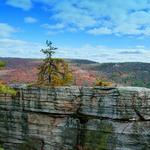 Mohonk Preserve Visitor Center