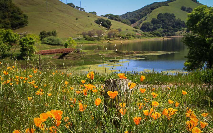 The Wedding Website of Caroline Denigris and Jake Register