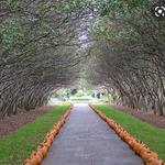 The Dallas Arboretum and Botanical Garden