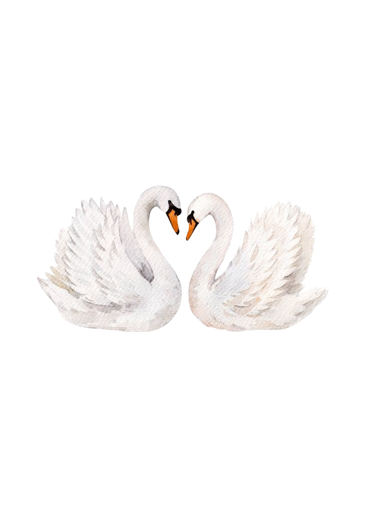 The Wedding Website of Eva Uminski and vlad cristev