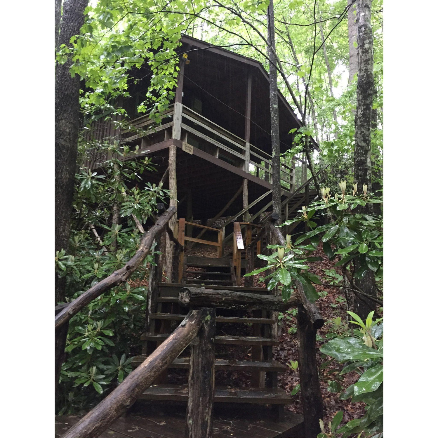 Camp Cabin