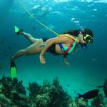 Snuba Diving