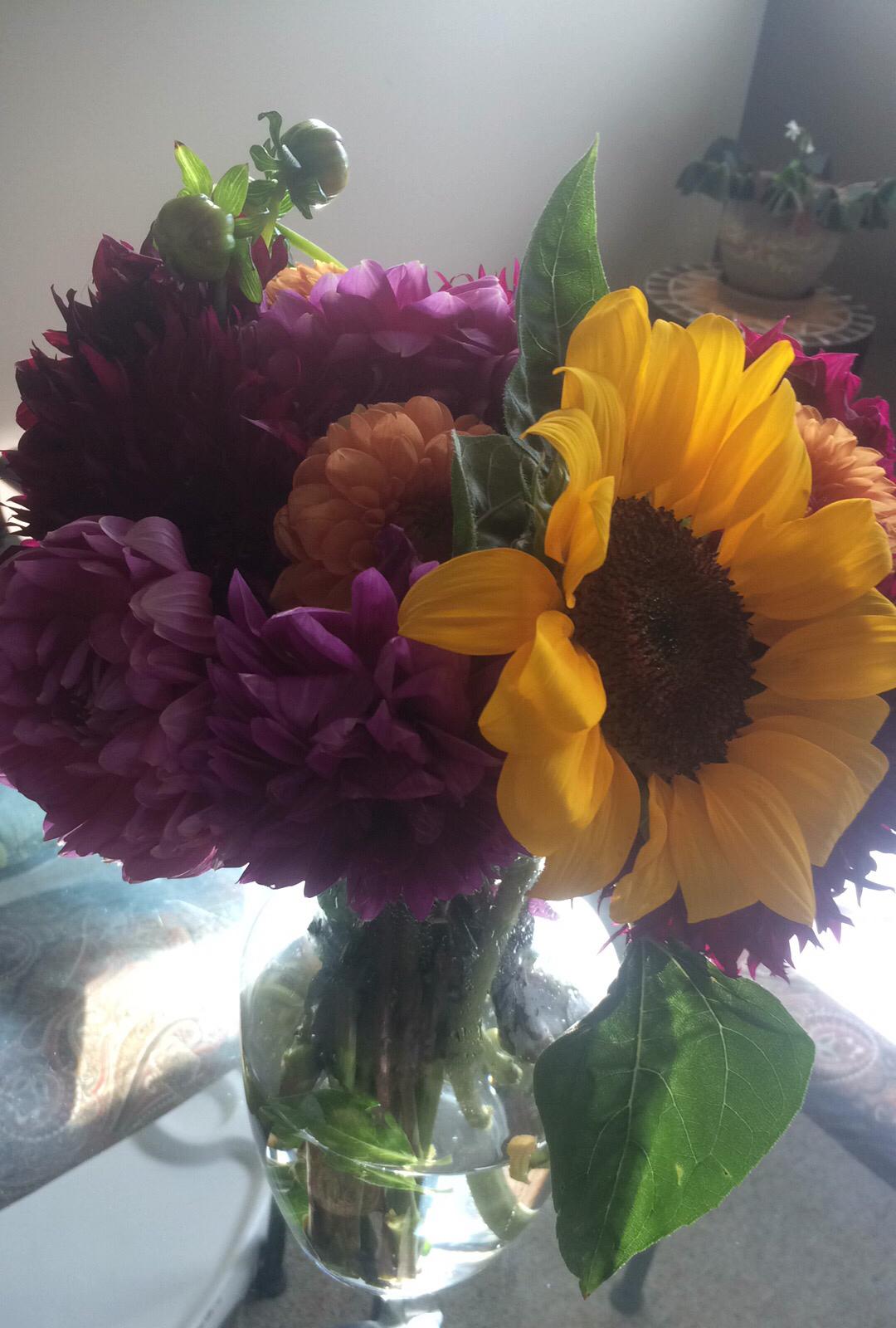 Jeremy is the best flower gifter 😄