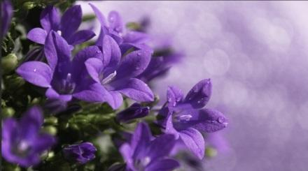 The Wedding Website of Anna Hester and Brian Abel