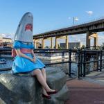 Canalside