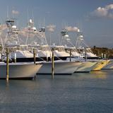 Fishing or Boating Charter