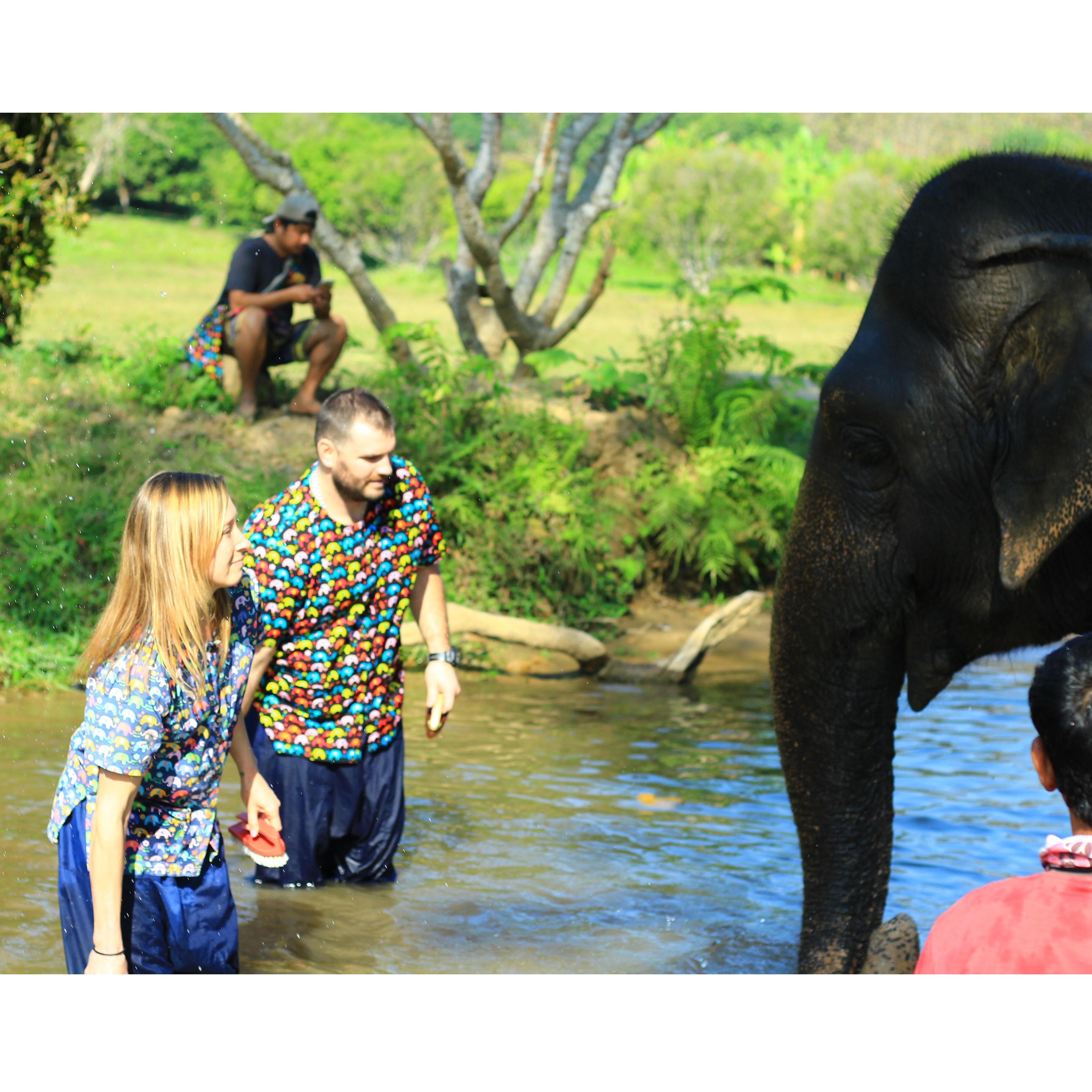 At the Kanta Elephant Sanctuary in Chang Mai, Thailand.