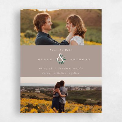 Rich Taupe, Brown Wedding Save the Date - Jackson Multiphoto