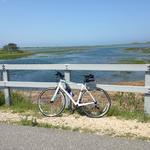 Shining Sea Bikeway