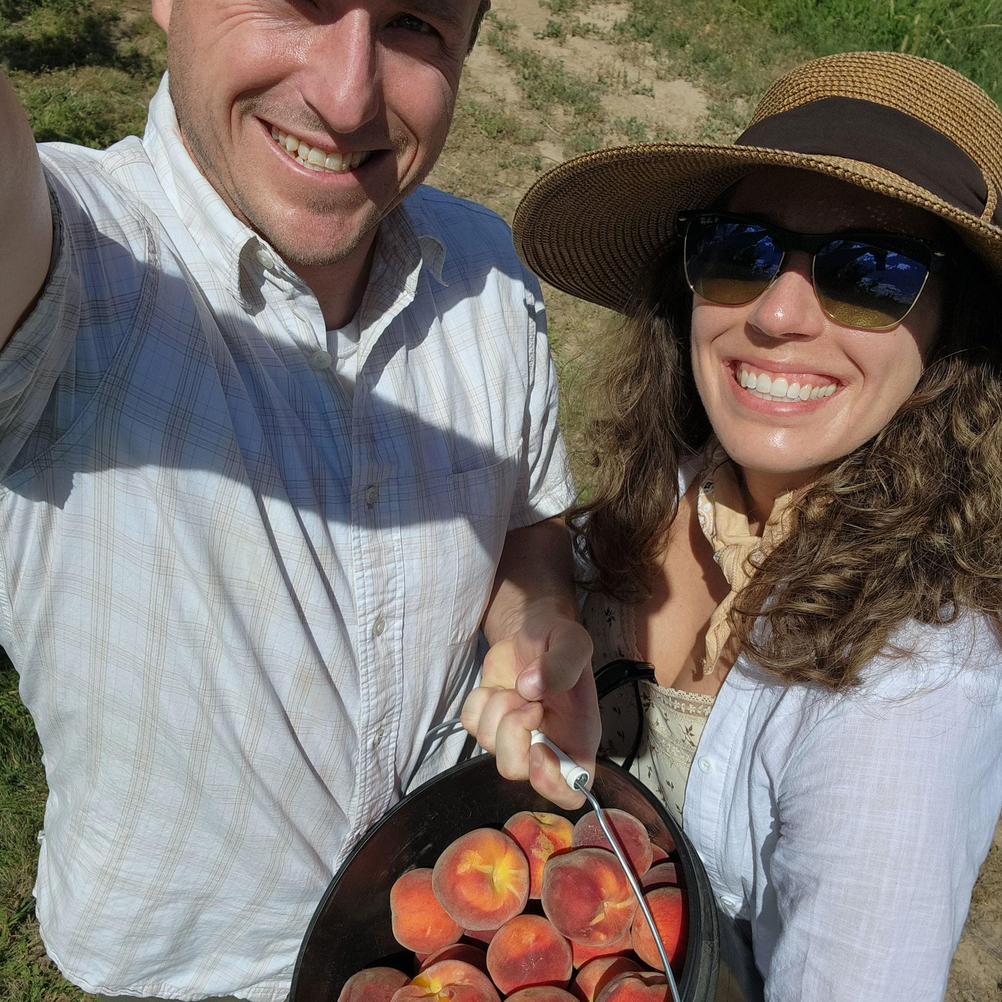 Annual tradition of Palisade peach picking