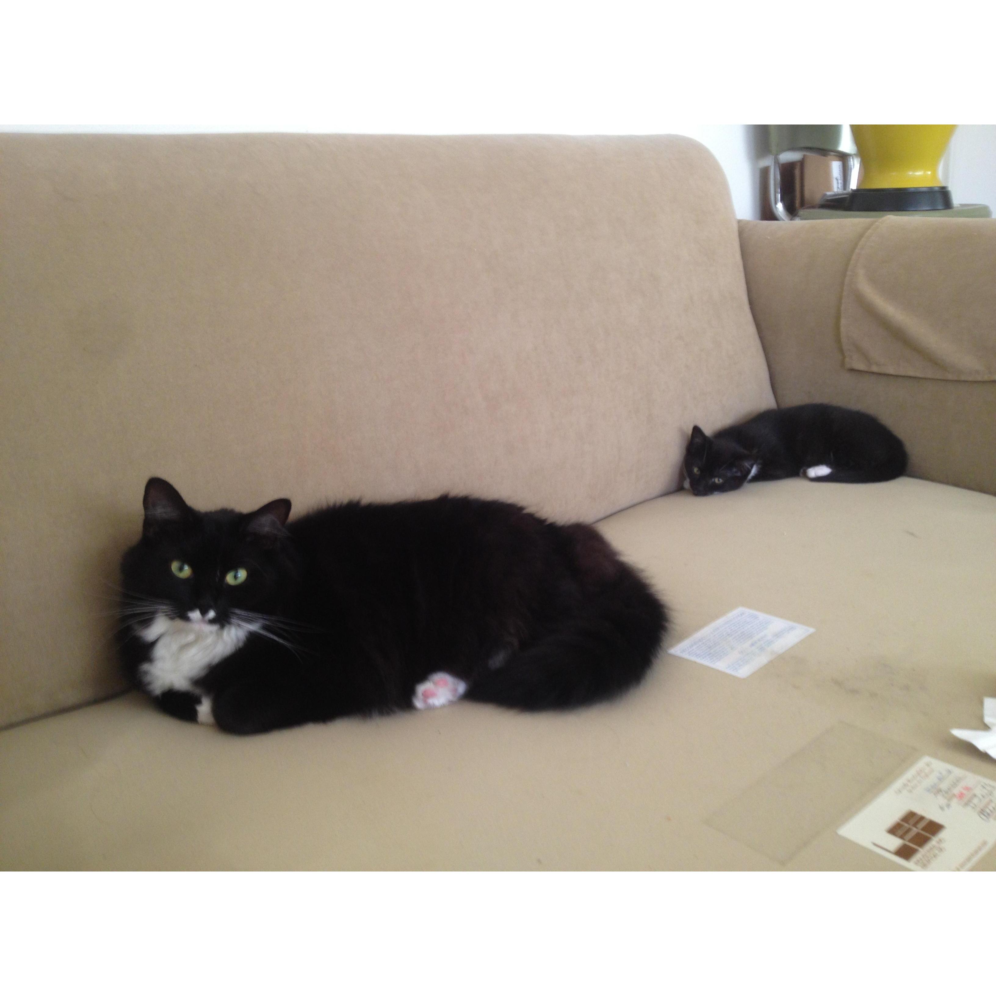 Summer 2013, San Francisco, CA