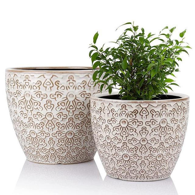 2 Pack Ceramic Plant Pots Indoor, DeeCoo Flower Pot Set 5.5 + 6.5 Inch, White Planters for Plants, Clay Plant Pots with Drainage Hole for Snake Plants, Orchid, Succulent, Cactus - Outdoor Garden Pots