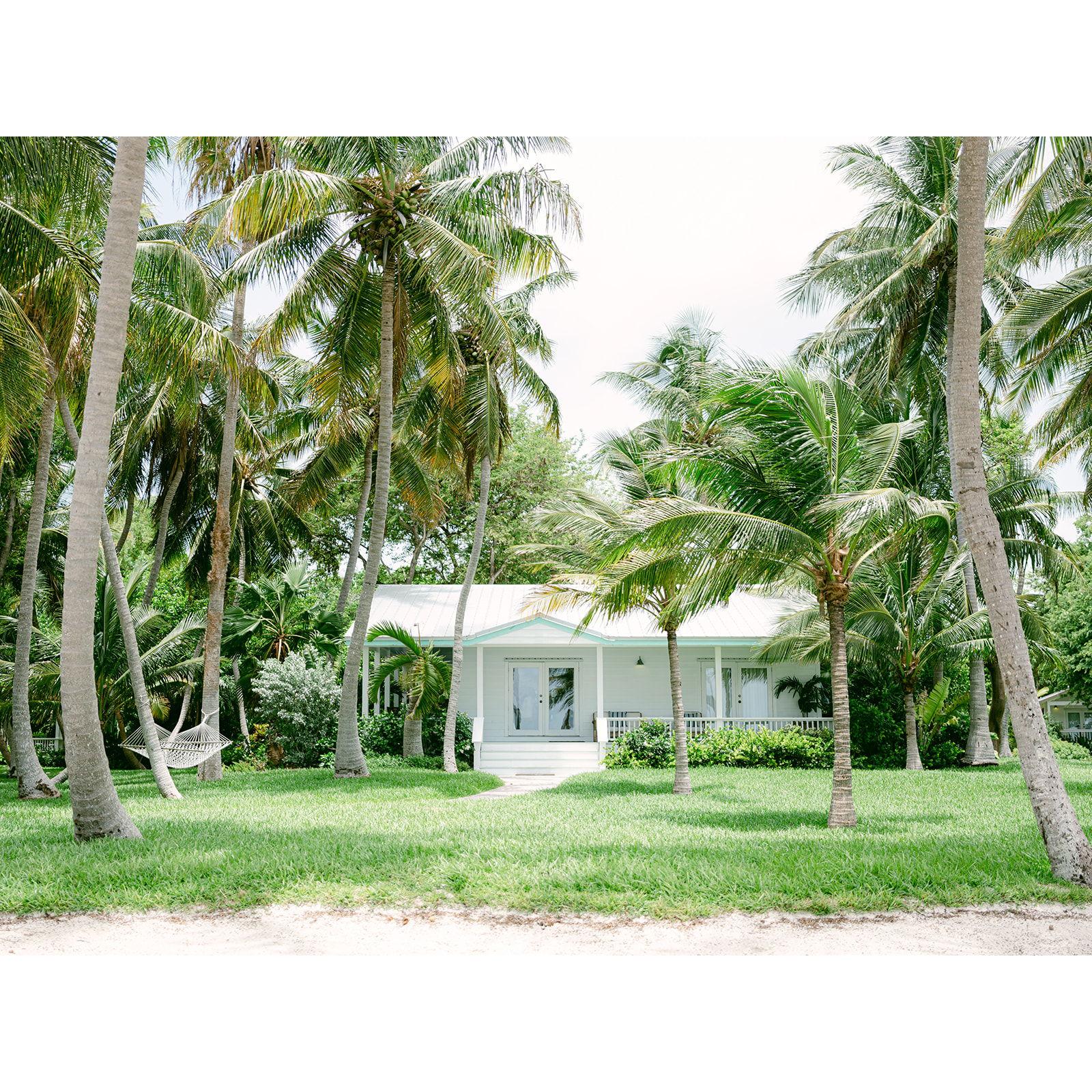 A view inland from the ceremony spot at Casitas Beach