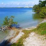 Cape Canaveral Manatee Sanctuary Park