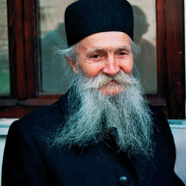 Our Thoughts Determine Our Lives: The Life and Teachings of Elder Thaddeus of Vitovnica
