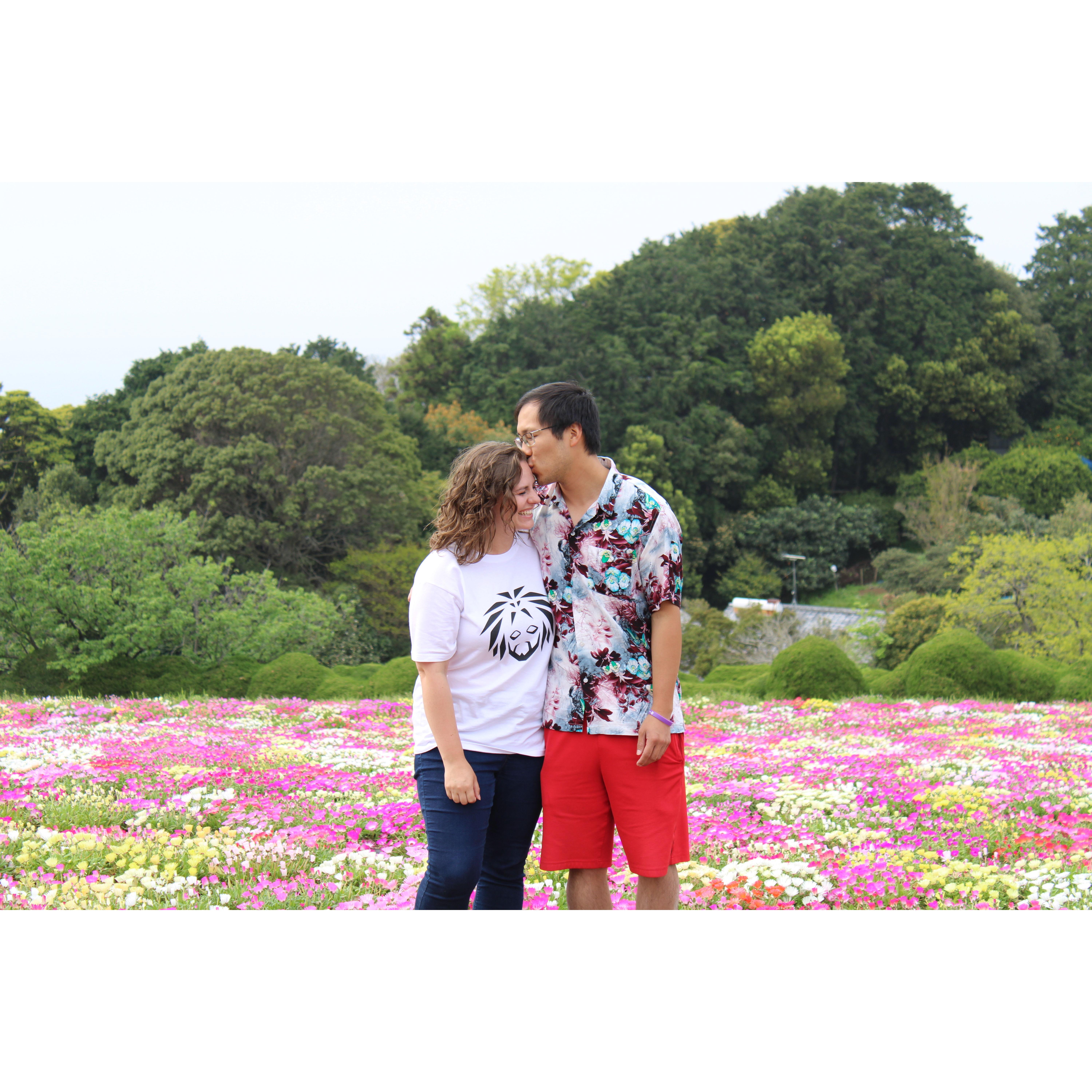Flower fields on an island outside Fukuoka, Japan, 2024.