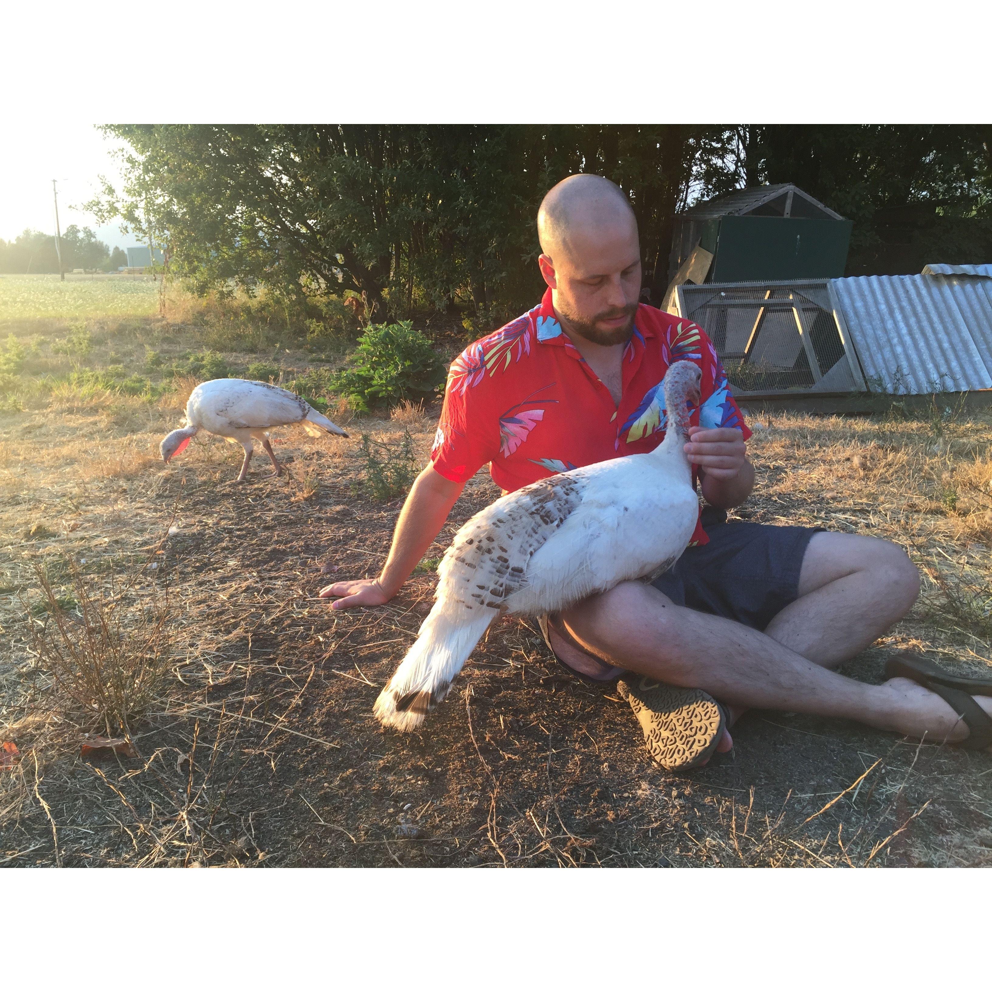 Peter is the best Bird-Dad ever, and Anna is so lucky that he loves her chickens and turkeys as much as she does.