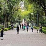 La alameda