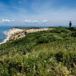 Vineyard Secrets (Only Locals Know)