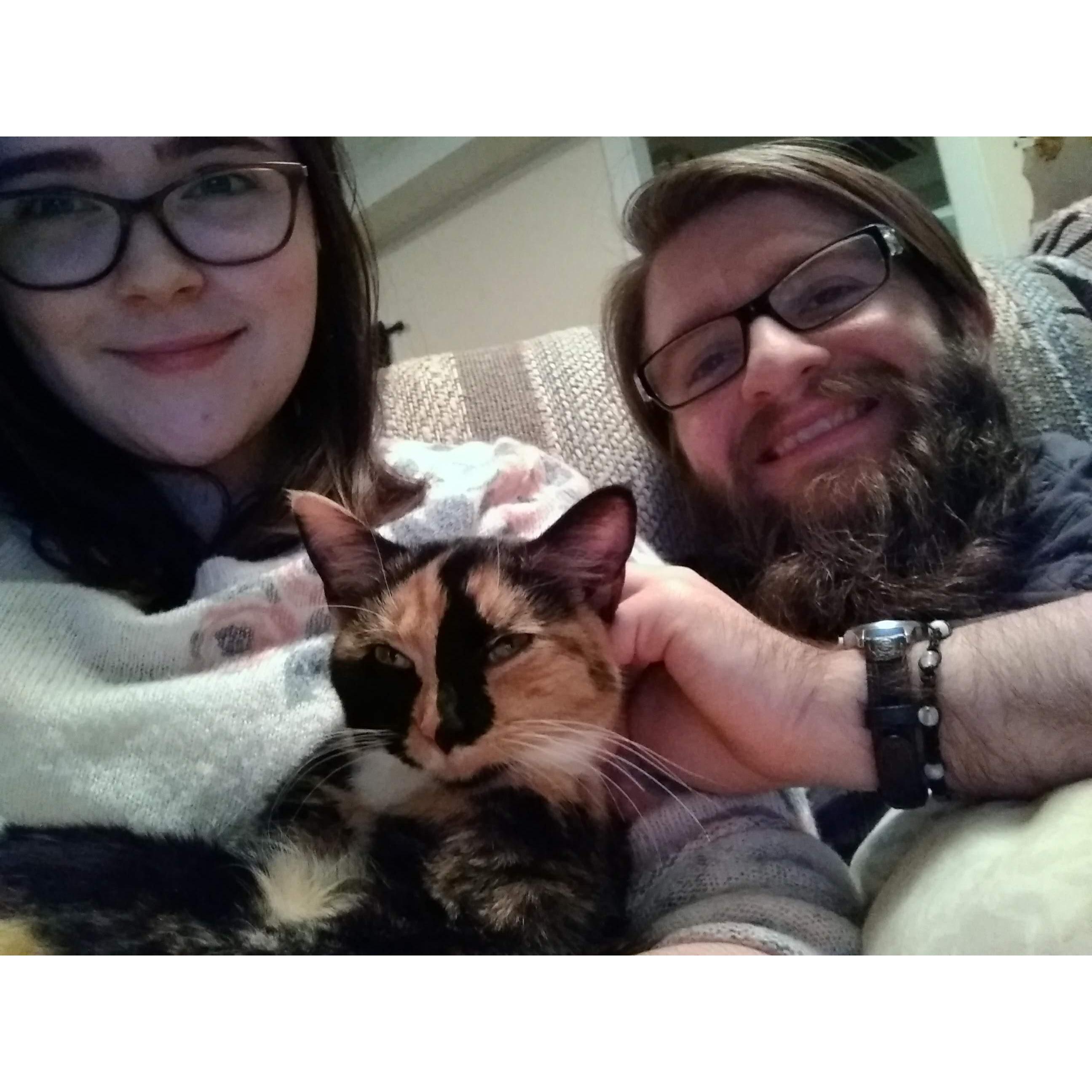 Our kitty, pebbles, who we rescued together!