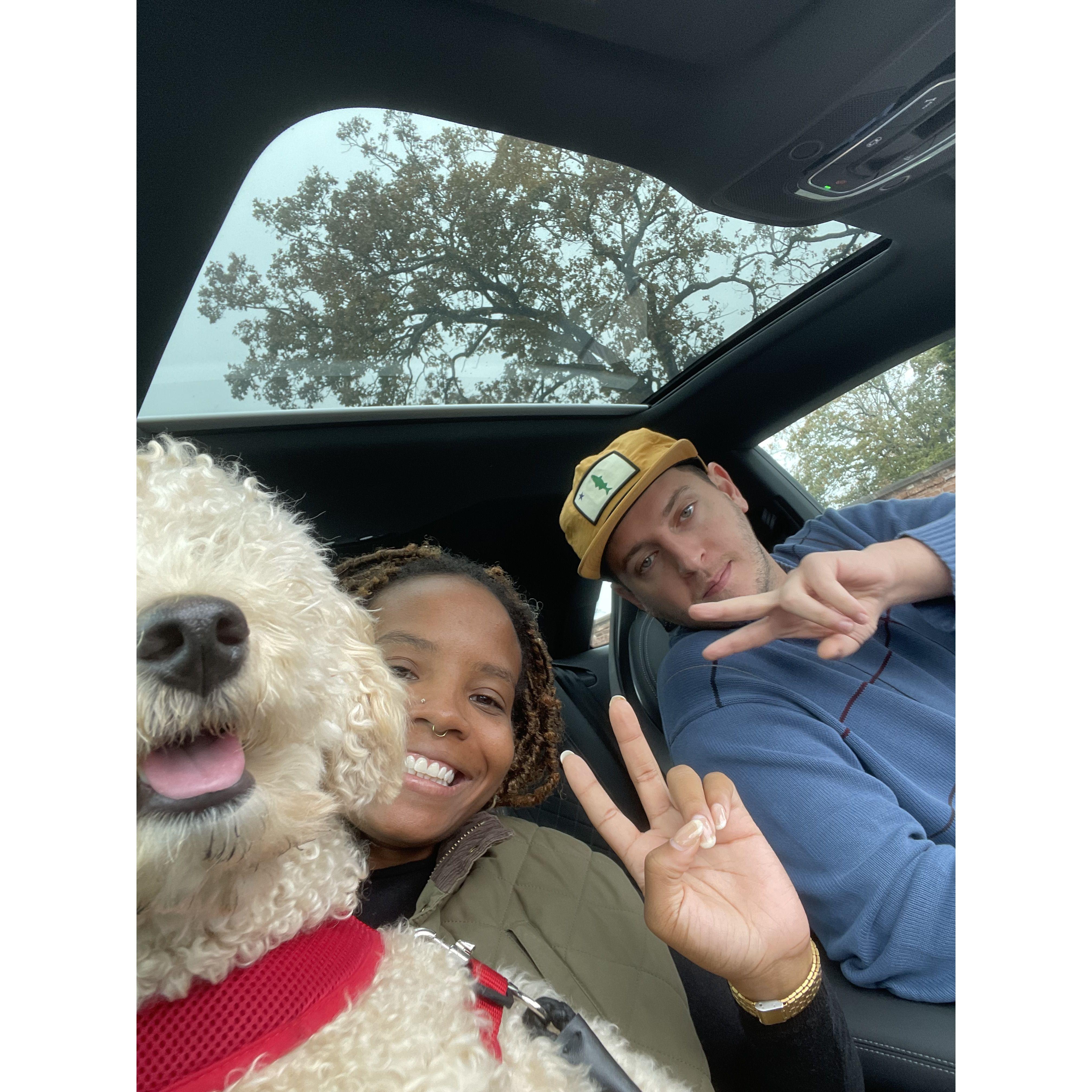Roux in the front seat!