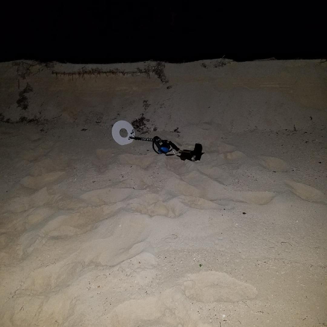 Infamous metal detector Tim used to propose!