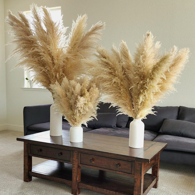 Wild California Pampas Grass (5pcs) — Hand-Harvested, Organic, USA-Grown, Natural Dried Stems