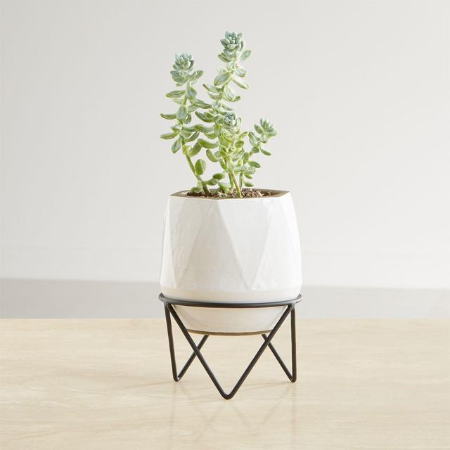 Aaro Small Geo Planter with Stand