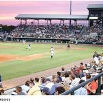 Charleston RiverDogs