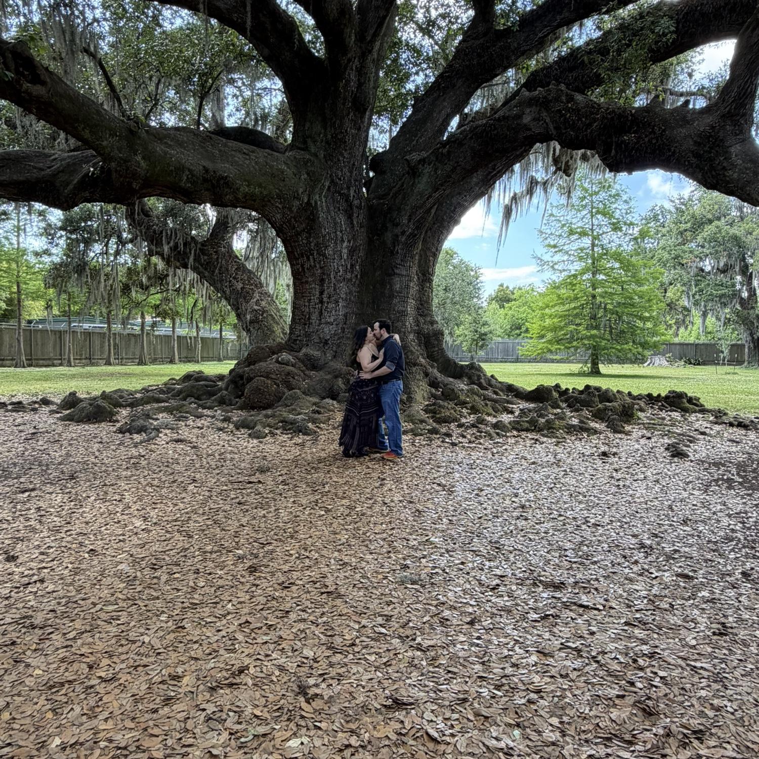 The Tree of Life - also known as the Étienne de Boré Oak, is a large, historic southern live oak in Audubon Park in New Orleans, Louisiana. Believed to be over 600 years old, the Tree of Life boasts a trunk that is 30 feet wide with mossy covered branches that span up to 160 feet.
You will get the opportunity to see and hug this Tree in person at our Ceremony