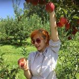 Jeter Mountain Farm Apple Orchard