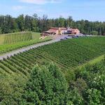 Potomac Point Winery & Vineyard