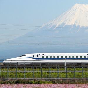 Shinkansen (Train) Tickets