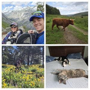 (non-venmo) Newlywed fund for: vet bills, travel/adventures, bike maintenance and more