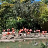 San Diego Zoo