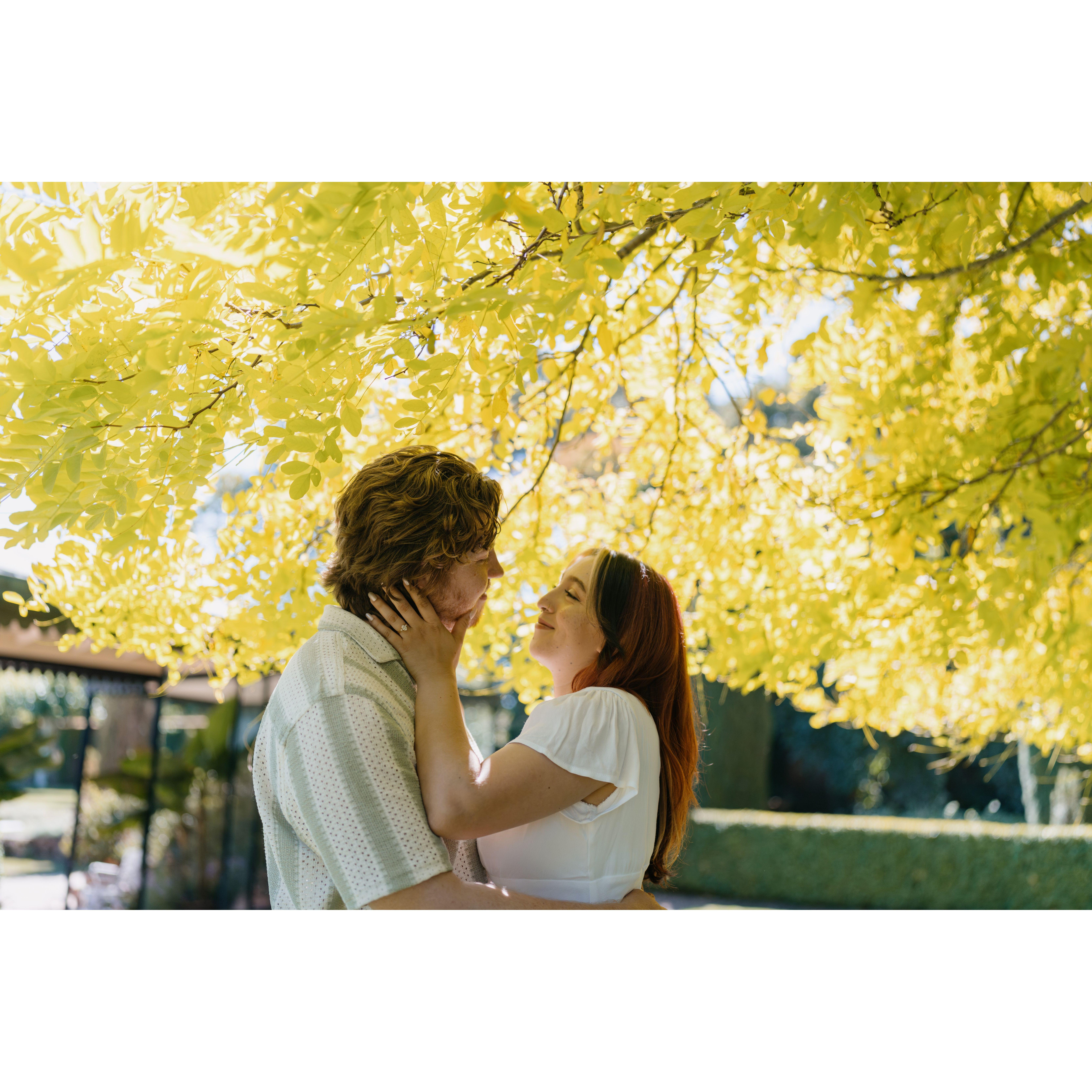 In the words of our photographer, Sean, "Man you guys look so in love, I'm just gonna step out"