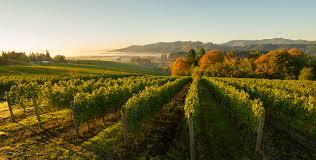 The Wedding Website of Annie McLeod and Brian Hassing