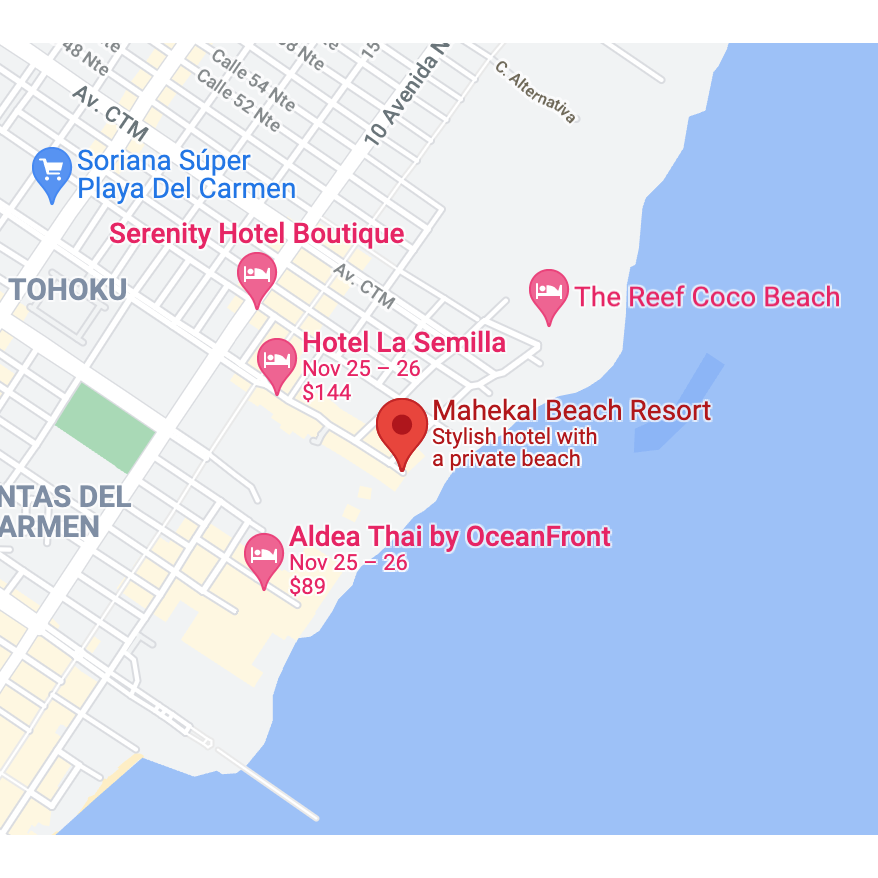 If renting an Airbnb, we recommend booking a place on Calle 38 between Mahekal and Quinta Avenida (5 min walk to Mahekal). All events will center around Mahekal.
