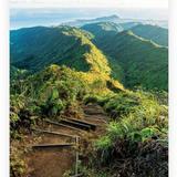 Waʻahila Ridge Trail