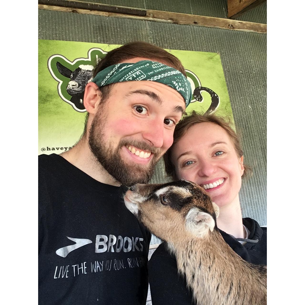 She really gets my goat!